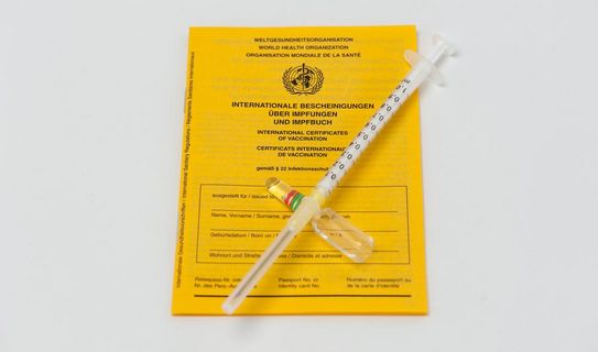 Frühzeitig an den Grippeschutz denken Impfpass mit Spritze